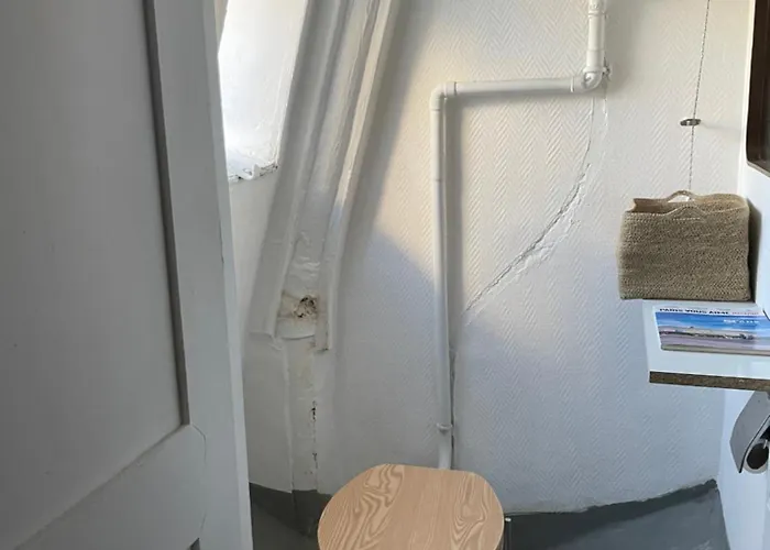 Petit Parisien